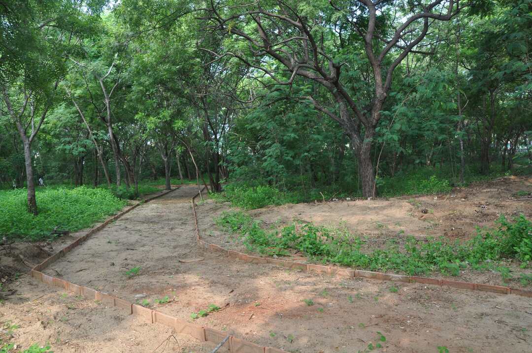 Green Spaces